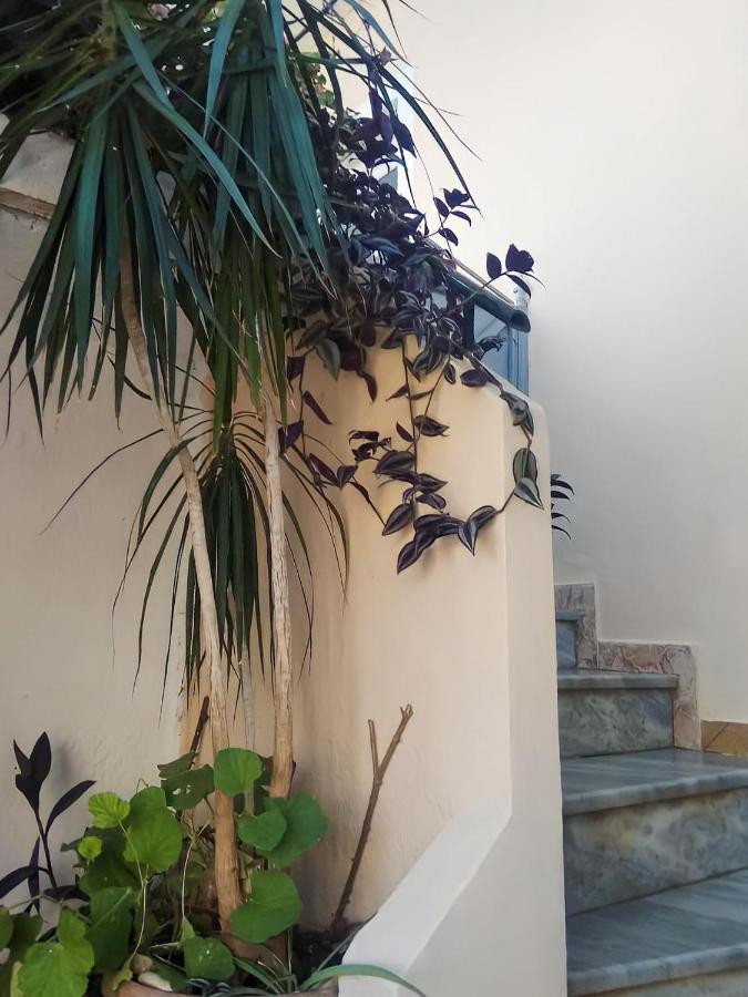 Villa 29 Sarandë 外观 照片